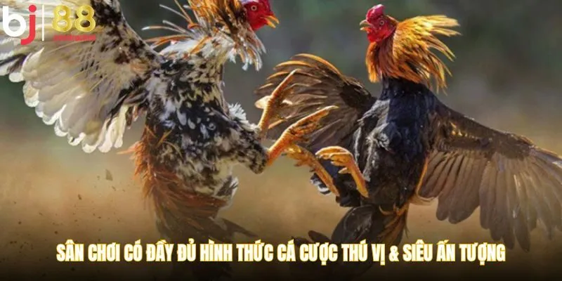Sân chơi có đầy đủ hình thức cá cược thú vị & siêu ấn tượng