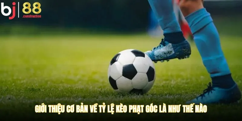 Giới thiệu cơ bản về tỷ lệ kèo phạt góc là như thế nào