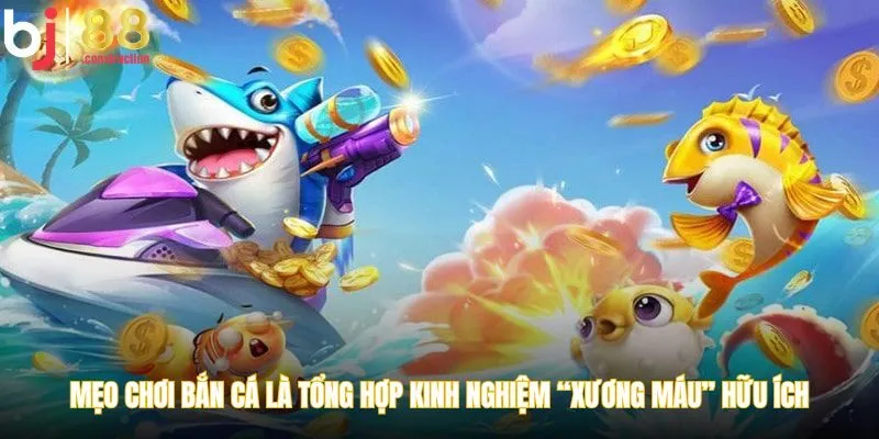 Mẹo chơi bắn cá là tổng hợp kinh nghiệm “xương máu” hữu ích