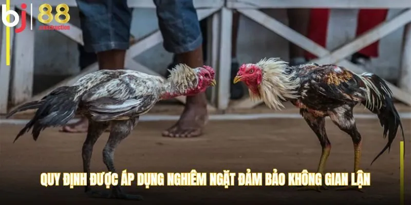 Quy định được áp dụng nghiêm ngặt đảm bảo không gian lận