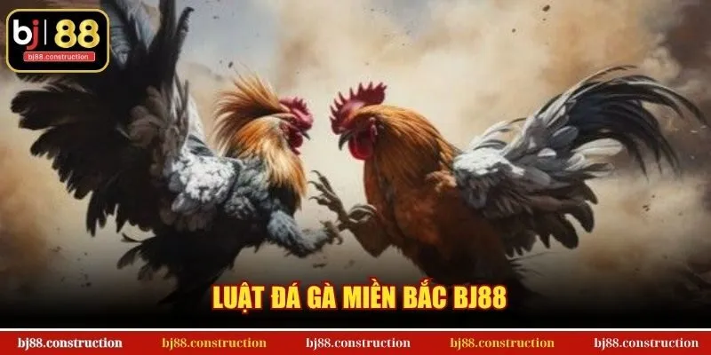 Luật Đá Gà Miền Bắc BJ88