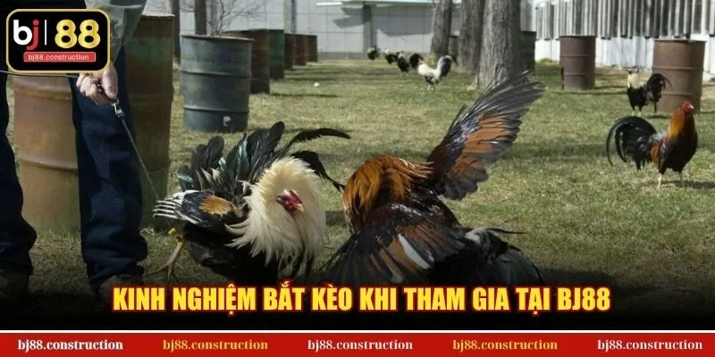 Kinh nghiệm bắt kèo khi tham gia tại BJ88