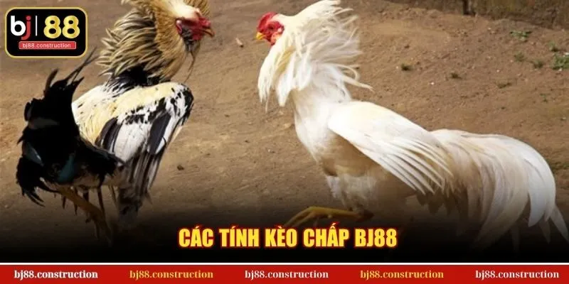 Các tính kèo chấp BJ88