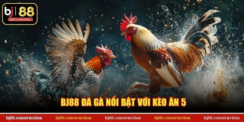 BJ88 đá gà nổi bật với kèo ăn 5