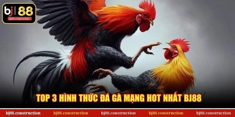 Top 3 hình thức đá gà mạng hot nhất BJ88