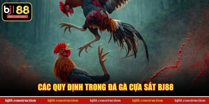 Các quy định trong đá gà cựa sắt BJ88