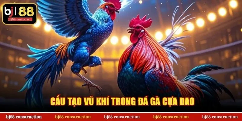 Cấu tạo vũ khí trong đá gà cựa dao