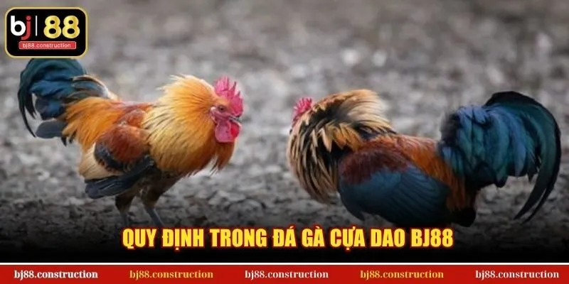 Quy định trong đá gà cựa dao BJ88