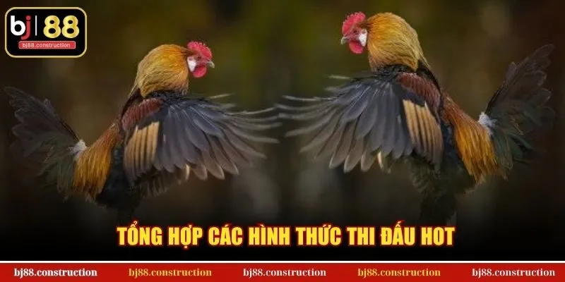 Tổng hợp các hình thức thi đấu hot
