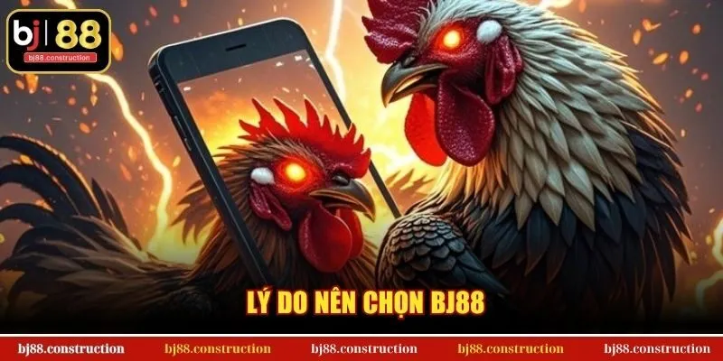 Lý do nên chọn BJ88