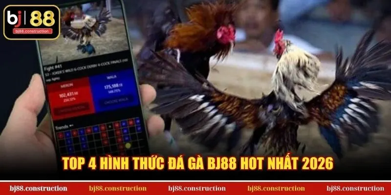 Top 4 hình thức đá gà BJ88 hot nhất 2026