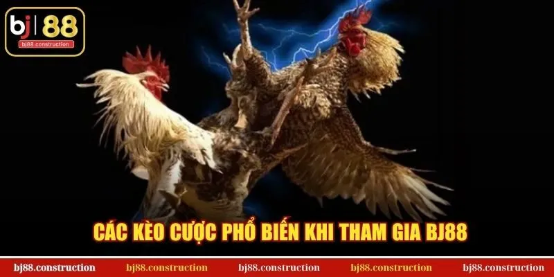Các kèo cược phổ biến khi tham gia BJ88